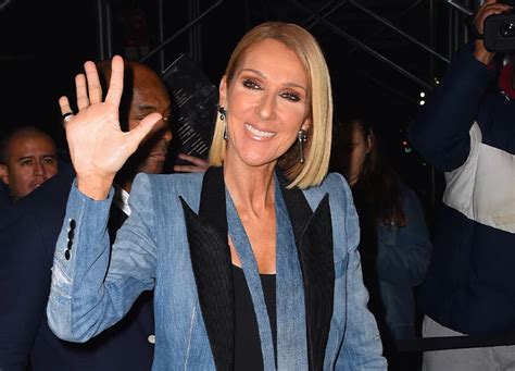 celine net worth|how rich is celine dion.